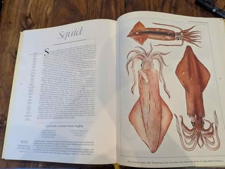 Photo of free Seafood cookery book (Widcombe/Lyncombe) #2