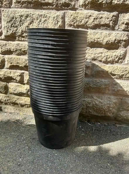Photo of free 30 x 5L Black Plastic Plant Pots (Lodge Moor S10) #1
