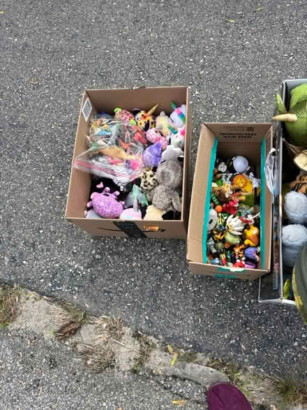 Photo of free On the sidewalk now (Pawtuxet village) #1