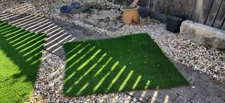 Photo of free Artificial grass (Stewarton, Kilmarnock) #2