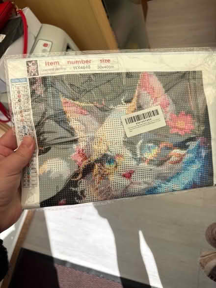 Photo of free diamond painting cat (Brierlow Bar SK17) #1