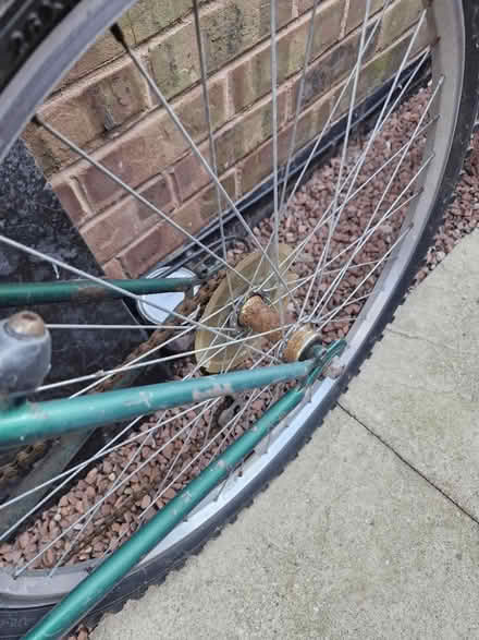 Photo of free Muddy fox bike (DE14) #3