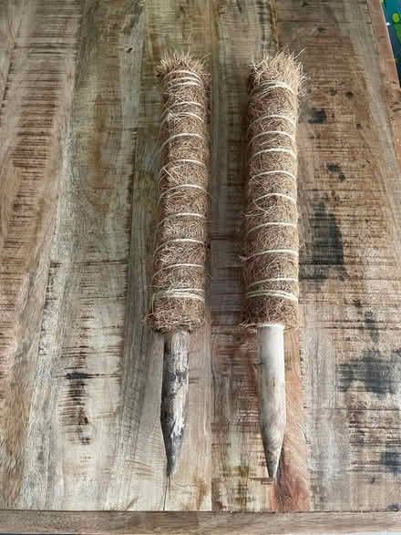 Photo of free Plant supports (AB51) #1