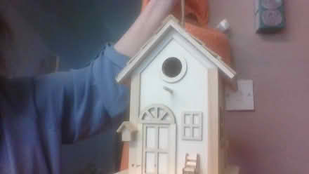 Photo of free new bird feeder (BA2) #4