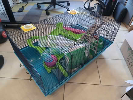 Photo of free Large hamster cage (M23) #1