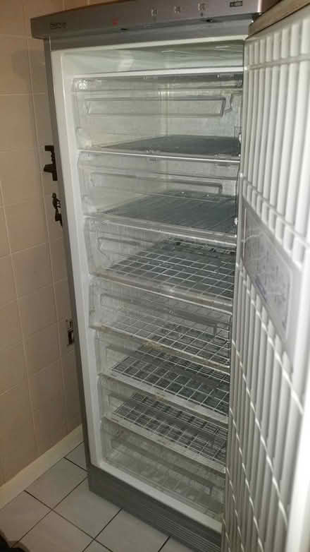 Photo of free Tall Freezer (GU11) #1