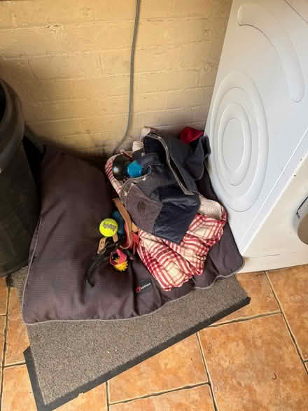 Photo of free Dog bed, blanket and various dog items (Penrith CA11) #1