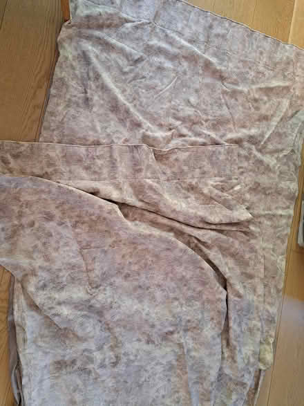 Photo of free Pair of Next curtains (Tonbridge road,Maidstone) #1