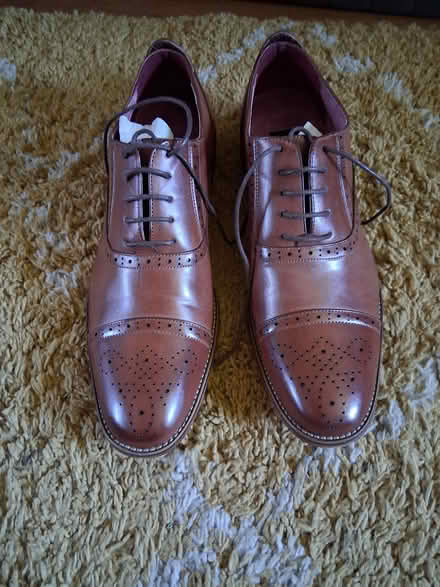 Photo of free New men's shoes (Coxheath ME17) #1