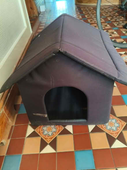 Photo of free cat/dog waterproof outside house (South Norwood SE25) #1