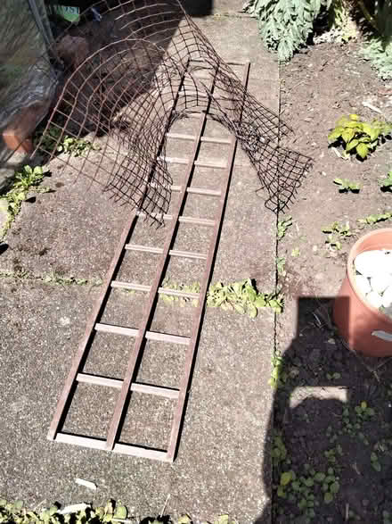 Photo of free Plant supports (Allerton L18) #1