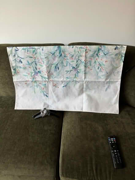 Photo of free 32 inch Vizio TV with remote (Windsor Terrace) #4