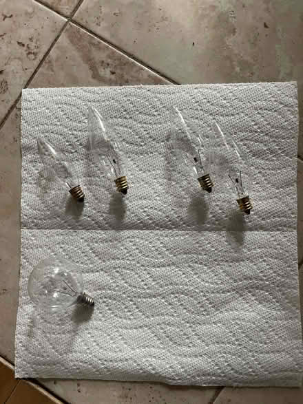 Photo of free light bulbs and light fixture (Bloor and Ossington) #1
