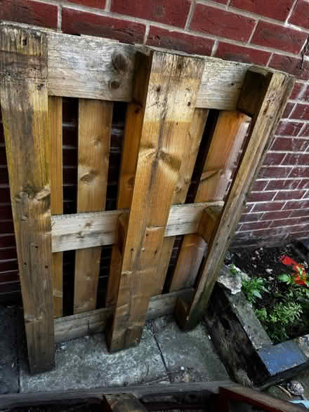 Photo of free Pallets (Anfield) #2