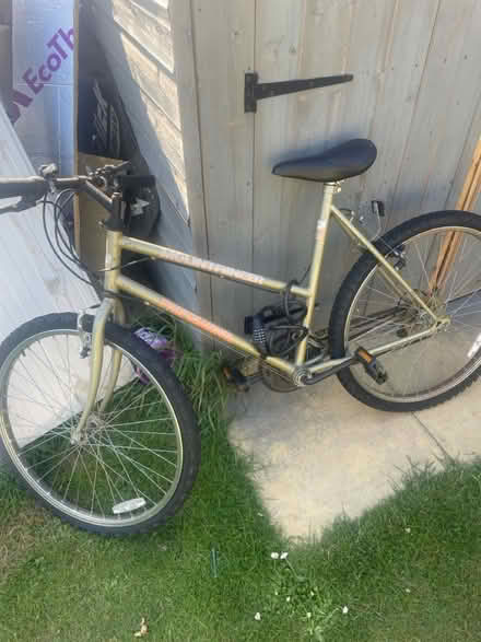 Photo of free 2 girls bikes (Orpington BR6) #1