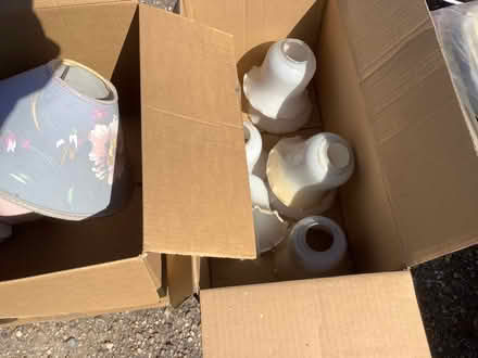 Photo of free Light shades and lamp (AB21) #1