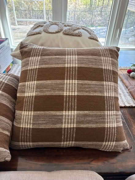 Photo of free 18 inch pillows (Kanata Lakes) #1