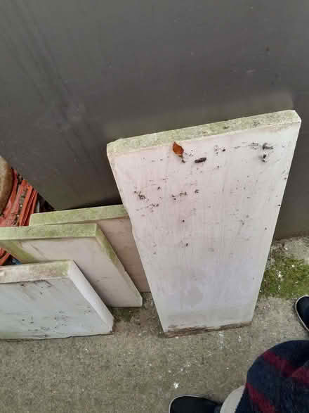 Photo of free stone off kuts (Wetherby LS22) #1
