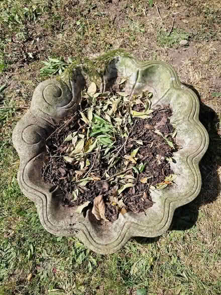 Photo of free Bird bath (RG5) #1