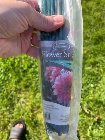 Photo of free Flower support sticks (AB51) #1