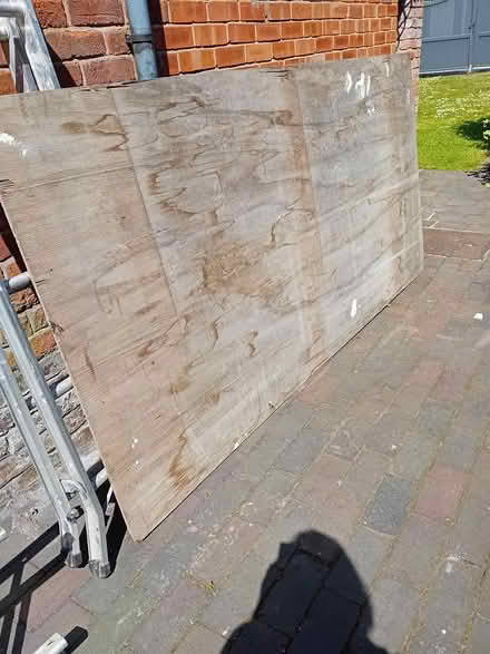 Photo of free Plywood (CH2 Chester) #1