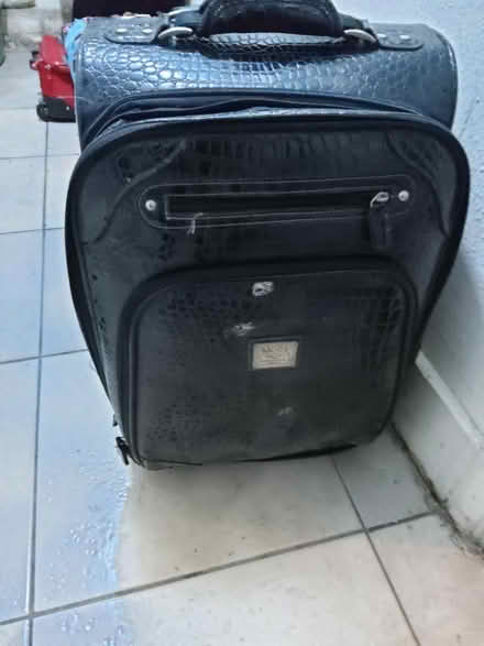 Photo of free Gaming gun (E7 forest Gate) #3