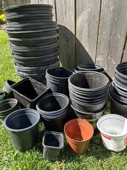 Photo of free Pots from seedlings (20020) #1