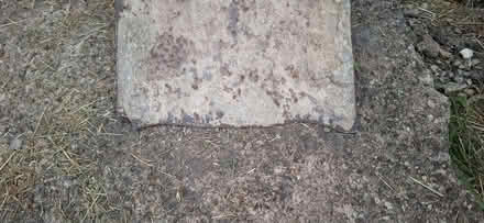 Photo of free Old Shovel (Harrogate HG1) #2