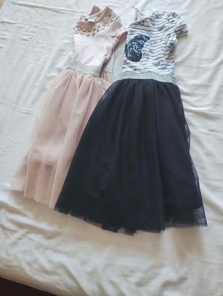 Photo of free Mesh dresses (Brockley SE4) #1