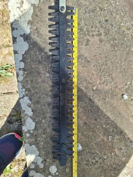 Photo of free Long Reach Garden Tool (Bexhill) #4