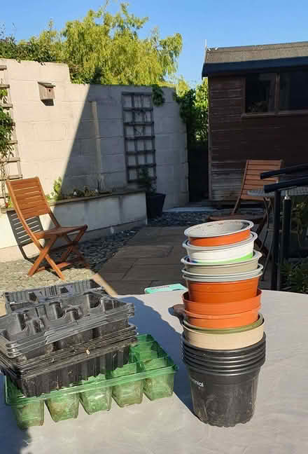 Photo of free 3 and 4 inch plastic plant pots (Bolton le Sands LA5) #1