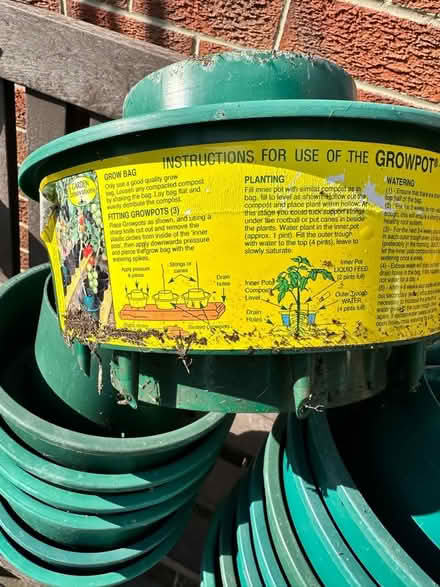 Photo of free Tomato Plant Grow Pots (Duffield DE56) #2