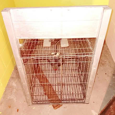 Photo of free Live trap (City of Chelsea) #1