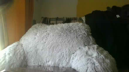 Photo of free bed reading or sit up rest (BA2) #2
