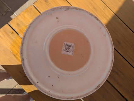 Photo of free Large white ceramic plant pot (Raynes Park SW20) #4