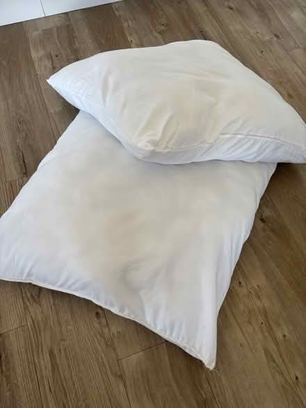Photo of free Dunelm Pillows 67 x 67cm (SE7, Charlton) #1