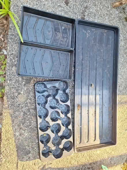 Photo of free Seed trays (Waterside HP5) #1