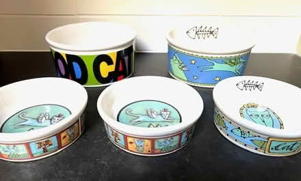 Photo of free Cat bowls and combs/brushes (Wedgwood) #2