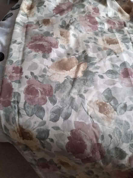 Photo of free Dorma curtains (Fords Farm RG31) #1