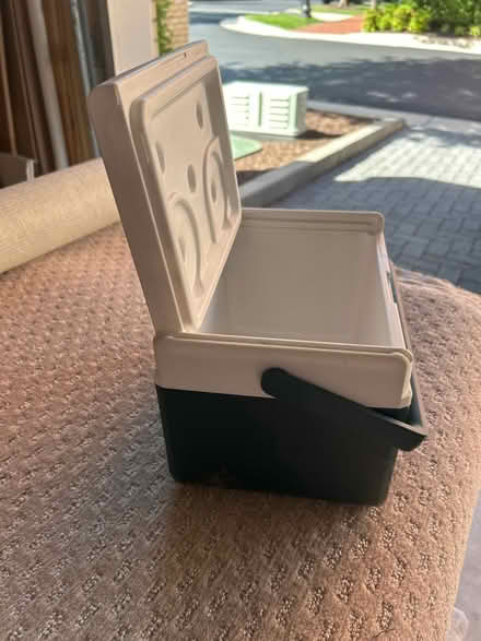 Photo of free Coleman lunchbox cooler (Del Ray near GW Middle School) #1