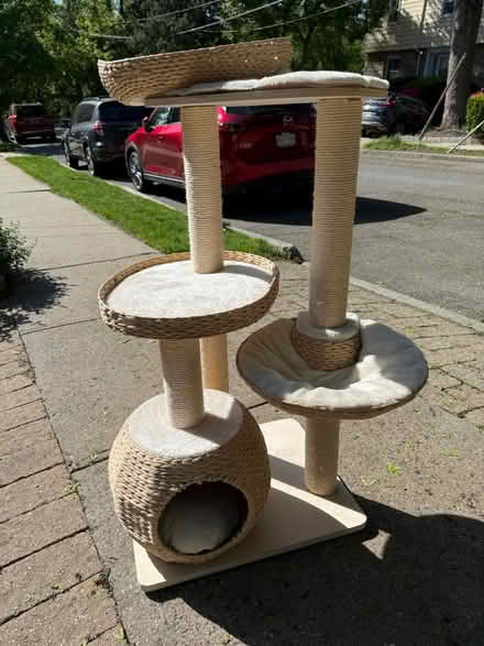 Photo of free Cat tree (Mount Vernon, NY) #1