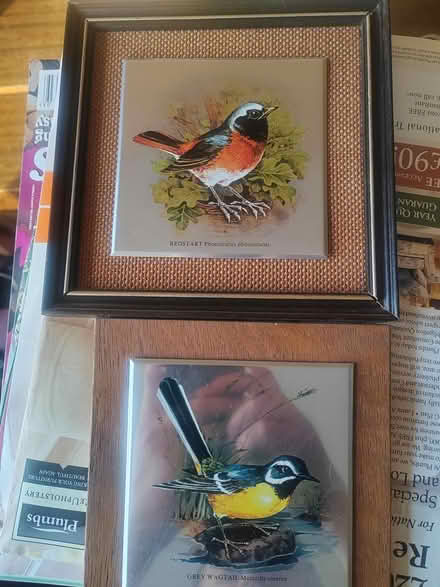 Photo of free 3 Metallic bird prints (Whittlesey) #1