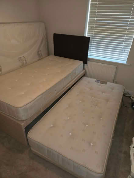 Photo of free Single Bed becomes Double (NN15) #1
