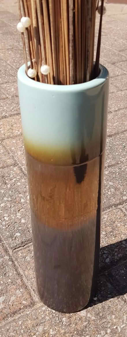 Photo of free Tall Cylindrical Vase with Branches (Euxton PR7) #2