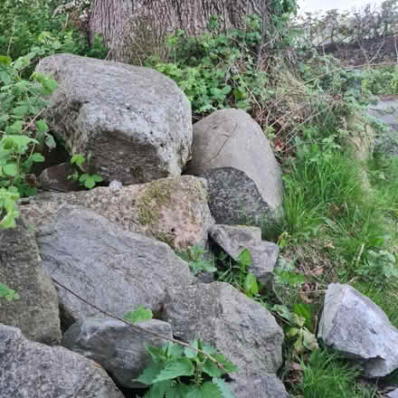 Photo of Japanese Garden items - update (Presteigne LD8) #2