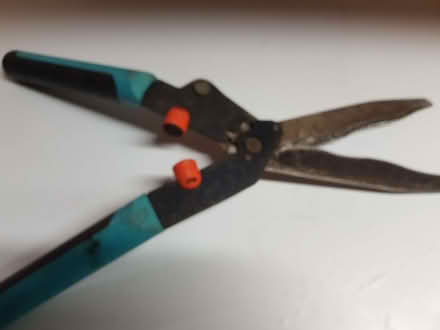 Photo of free Garden Shears (St Michaels TN30) #2