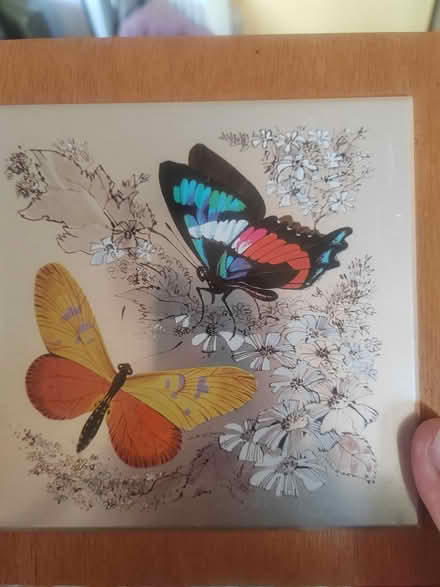 Photo of free 3 Metallic bird prints (Whittlesey) #2