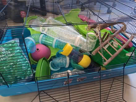 Photo of free Large hamster cage (M23) #2