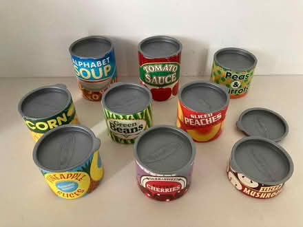 Photo of free toy canned food (Spring Hill, Somerville) #1