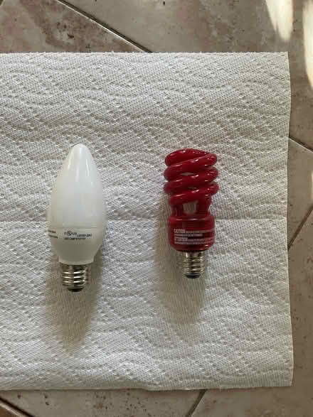 Photo of free light bulbs and light fixture (Bloor and Ossington) #2